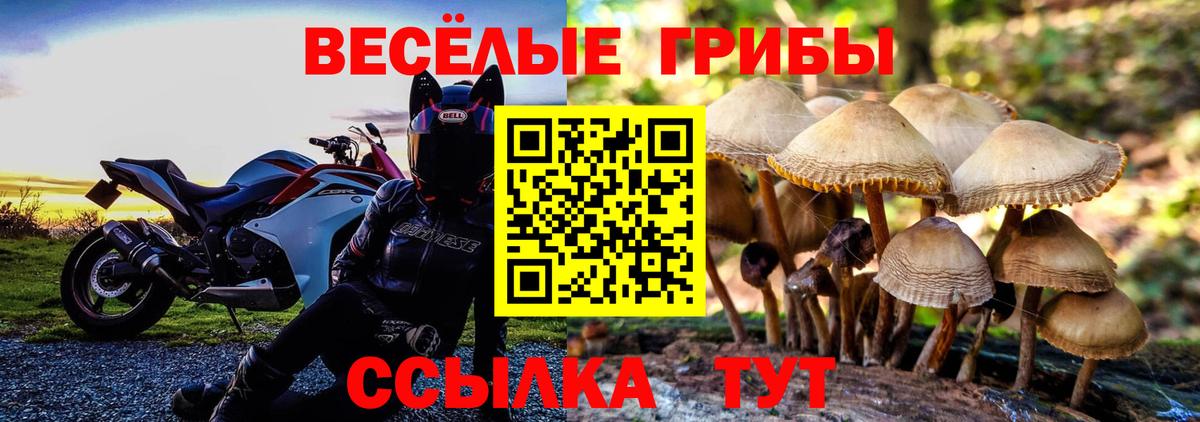 Галлюциногенные грибы прущие грибы Мелеуз